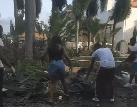 a group of people picking up leaves
