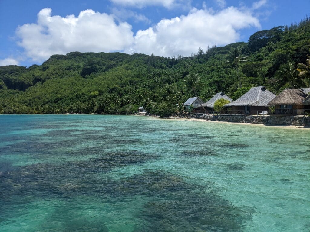 a beach with houses and trees
