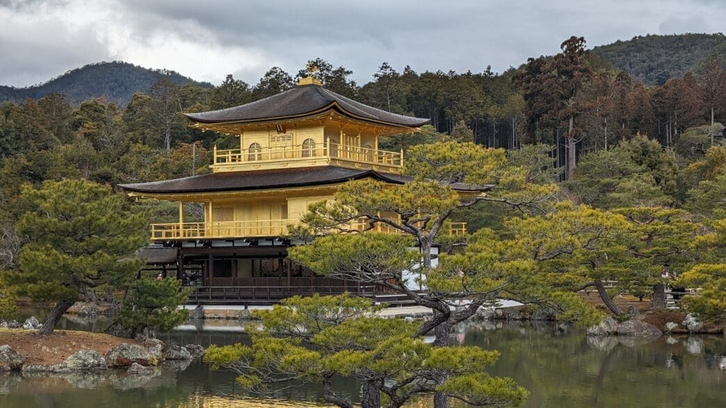 a building with trees around it