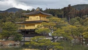a building with trees around it