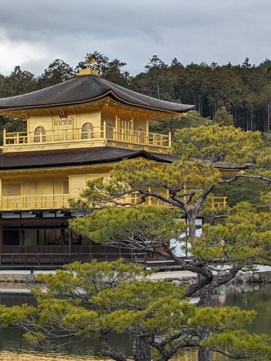 a building with trees around it