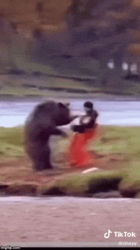 a bear fighting with a person in a red dress