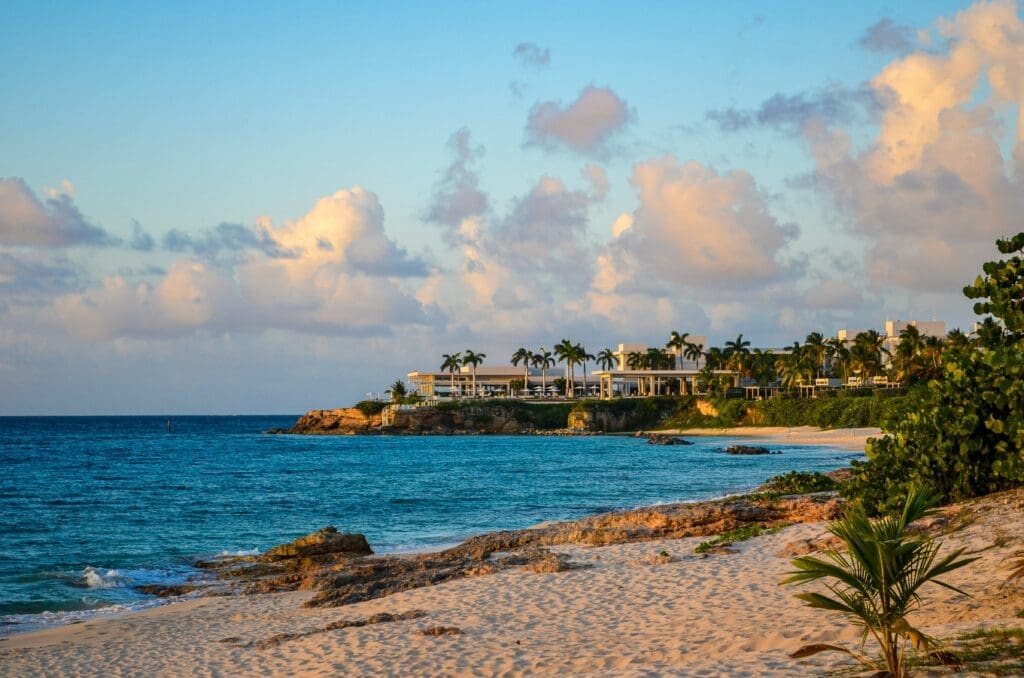 a beach with palm trees and a building on the shore