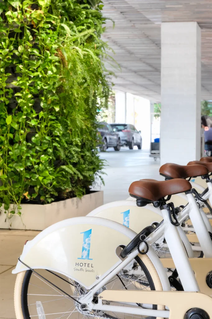 a row of bicycles in a row