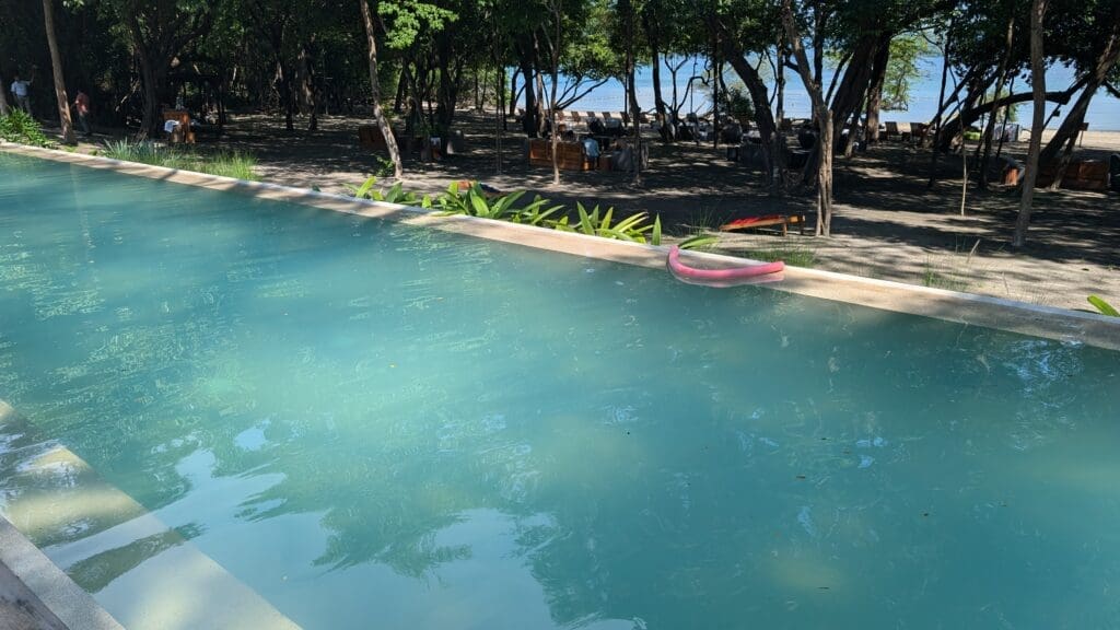 a pool with trees and people in the background