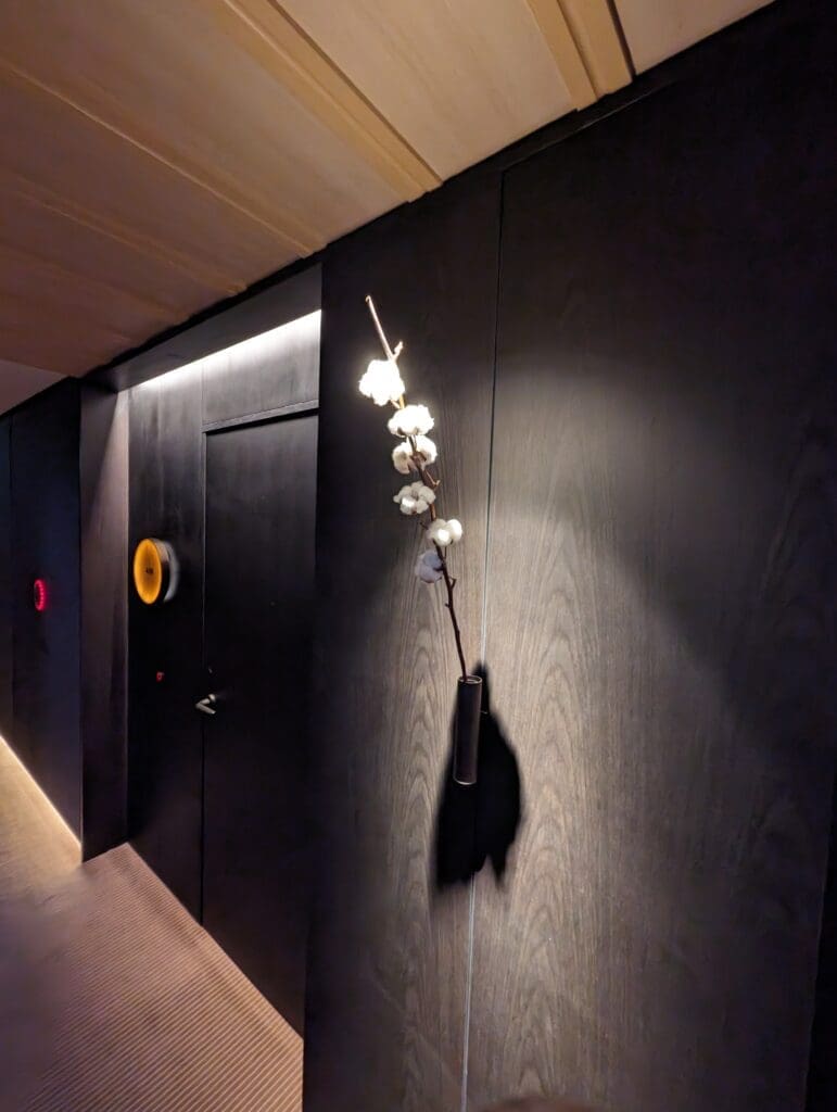 a branch with cotton flowers on a wall