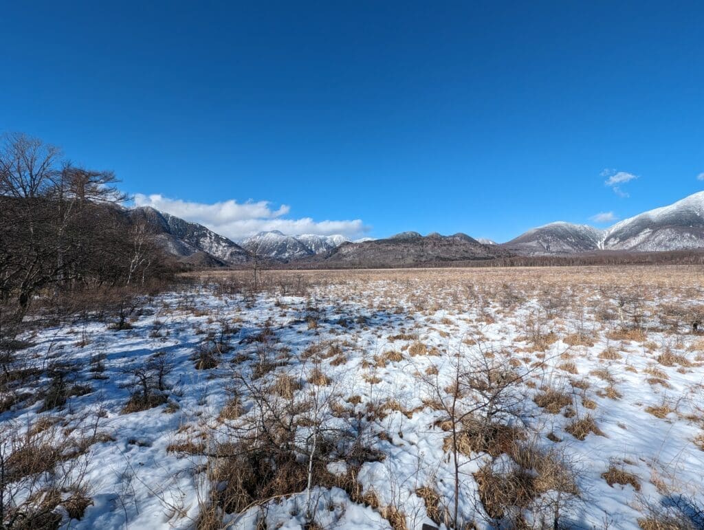 a snowy field with mountains in the background