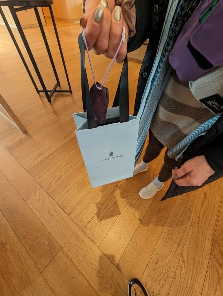 a person holding a bag