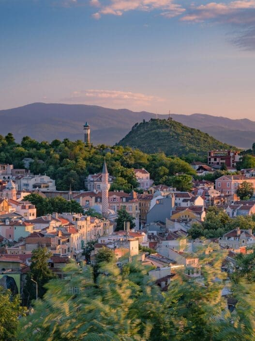 a city with trees and mountains in the background