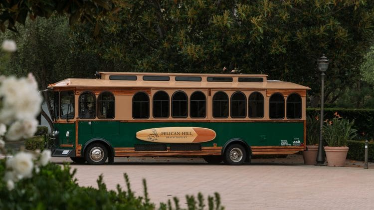 a green and brown bus