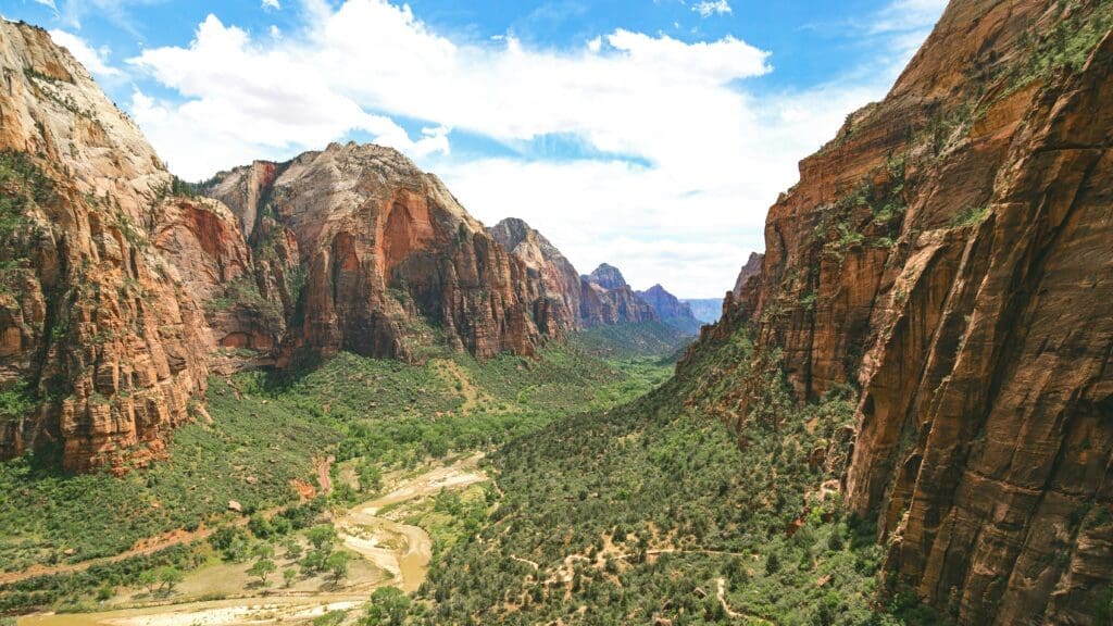 a valley with trees and mountains with Zion National Park in the background