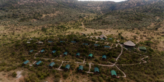 a group of houses in a forest