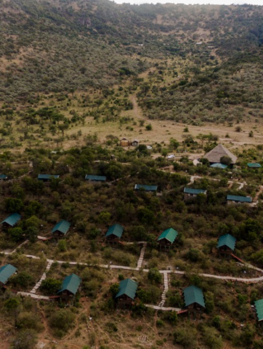 a group of houses in a forest