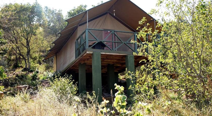 a tent on stilts in the woods