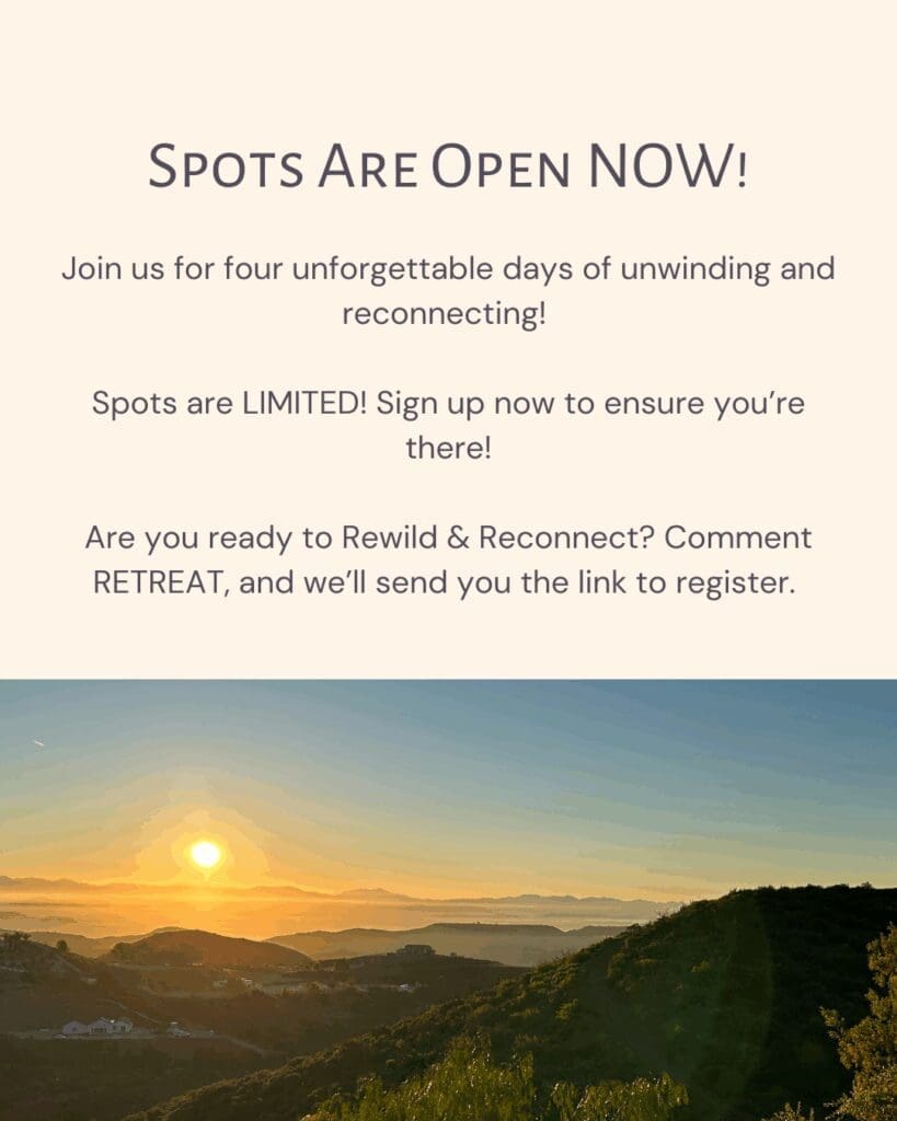 a screenshot of a website