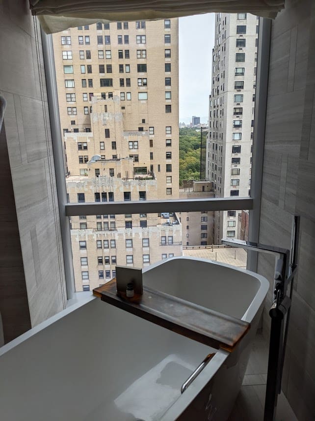 a bathtub in a bathroom with a view of a city