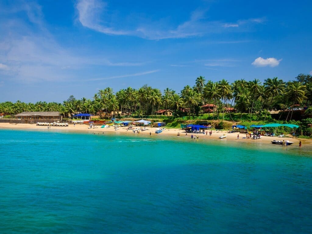 a beach with palm trees and blue water