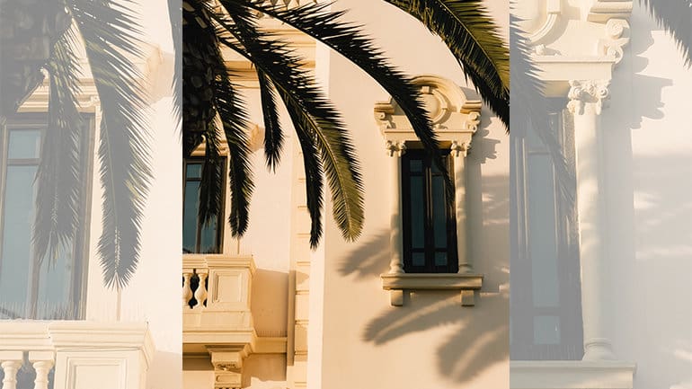 a palm tree and a building