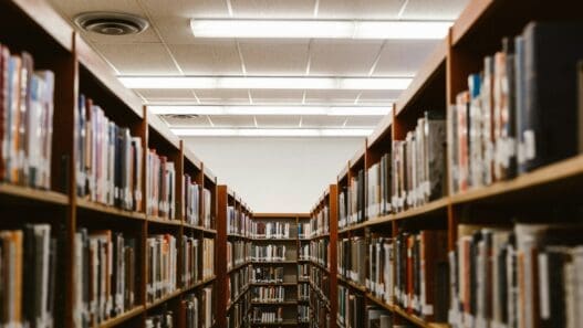 a row of books on shelves