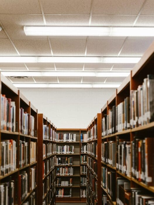 a row of books on shelves