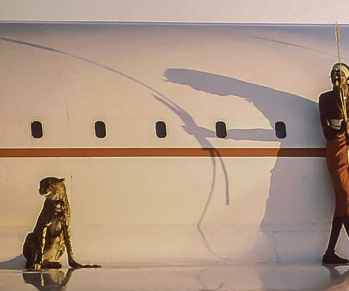 a cat sitting next to an airplane