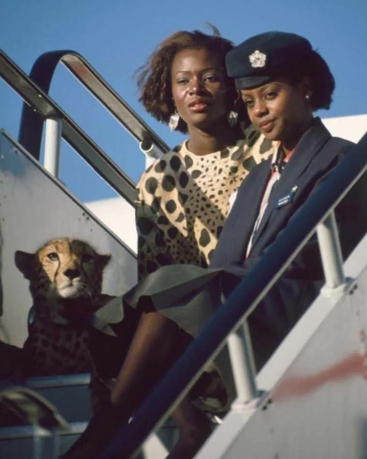 two women on a plane