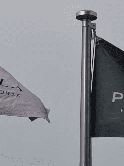 a black and white flag on a pole