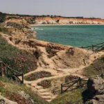 a path leading to a body of water