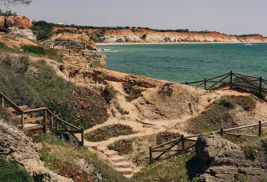 a path leading to a body of water