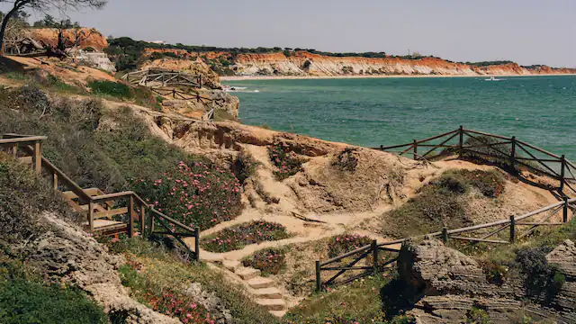a path leading to a body of water