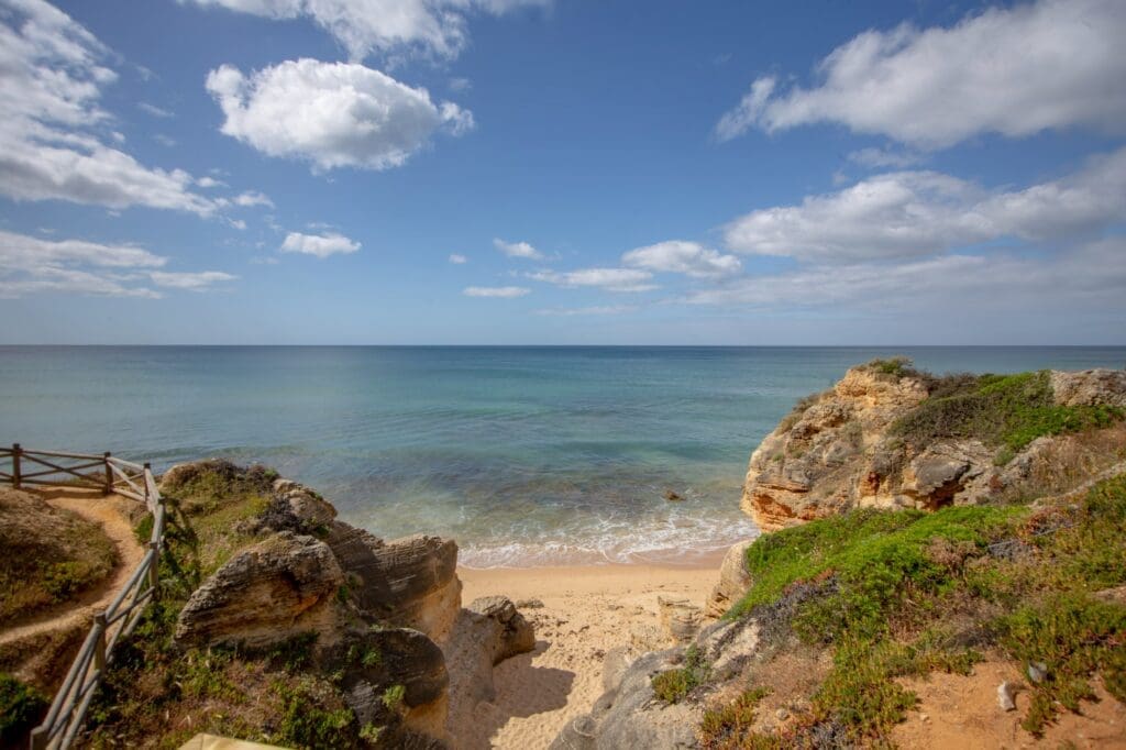 a beach with rocks and water
