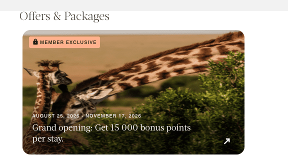 a giraffe with long neck