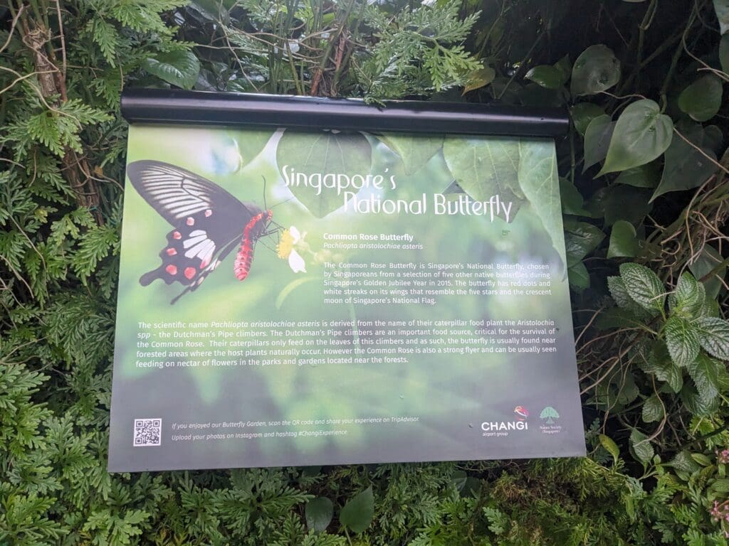 a sign on a bush