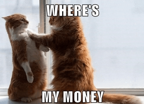 two cats touching each other