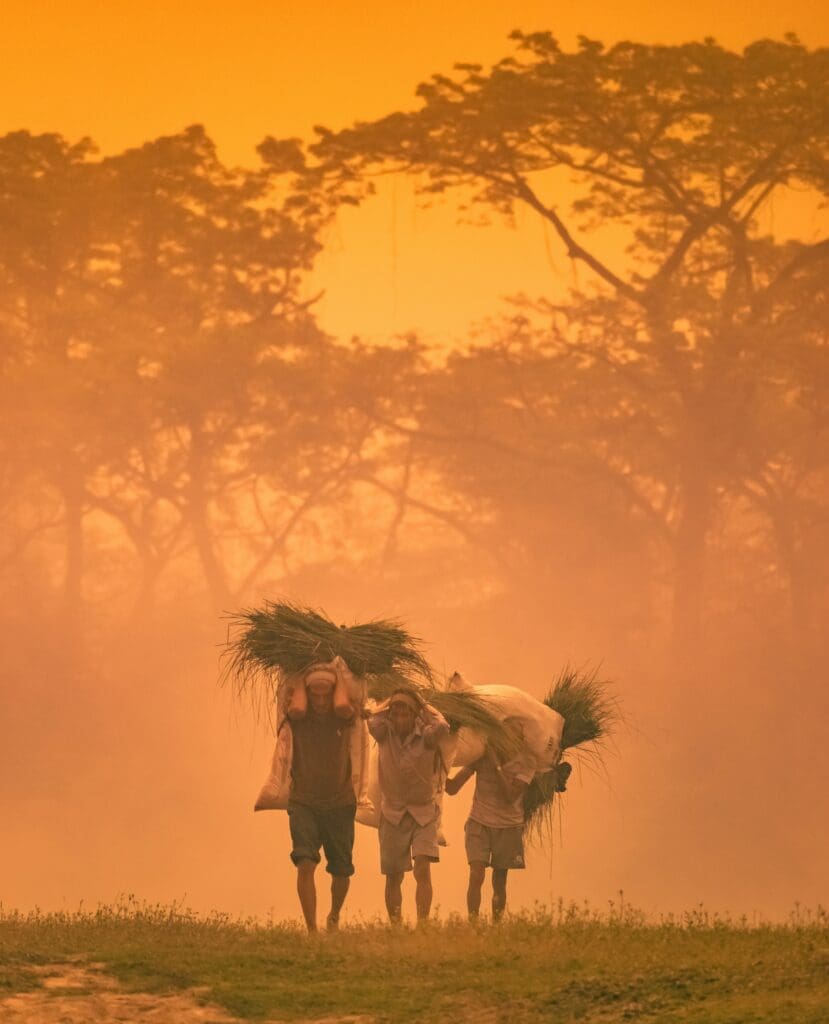 a group of people carrying bags of grass