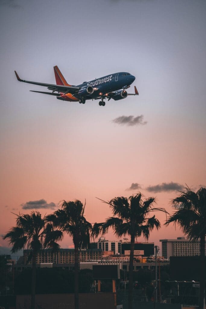 an airplane flying over palm trees